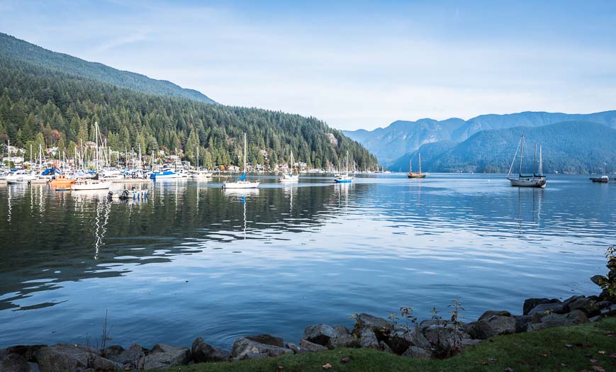 Pest control services in North Vancouver BC