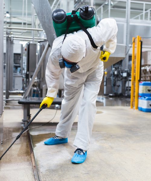 Pest Control Service in Vancouver | MetroVan Pest Control Experts Pest Control Service in Vancouver - MetroVan Pest Control Solutions